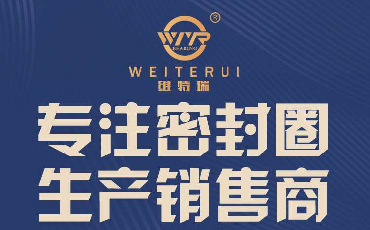 海斯特轴承-新产品页面_01.jpg