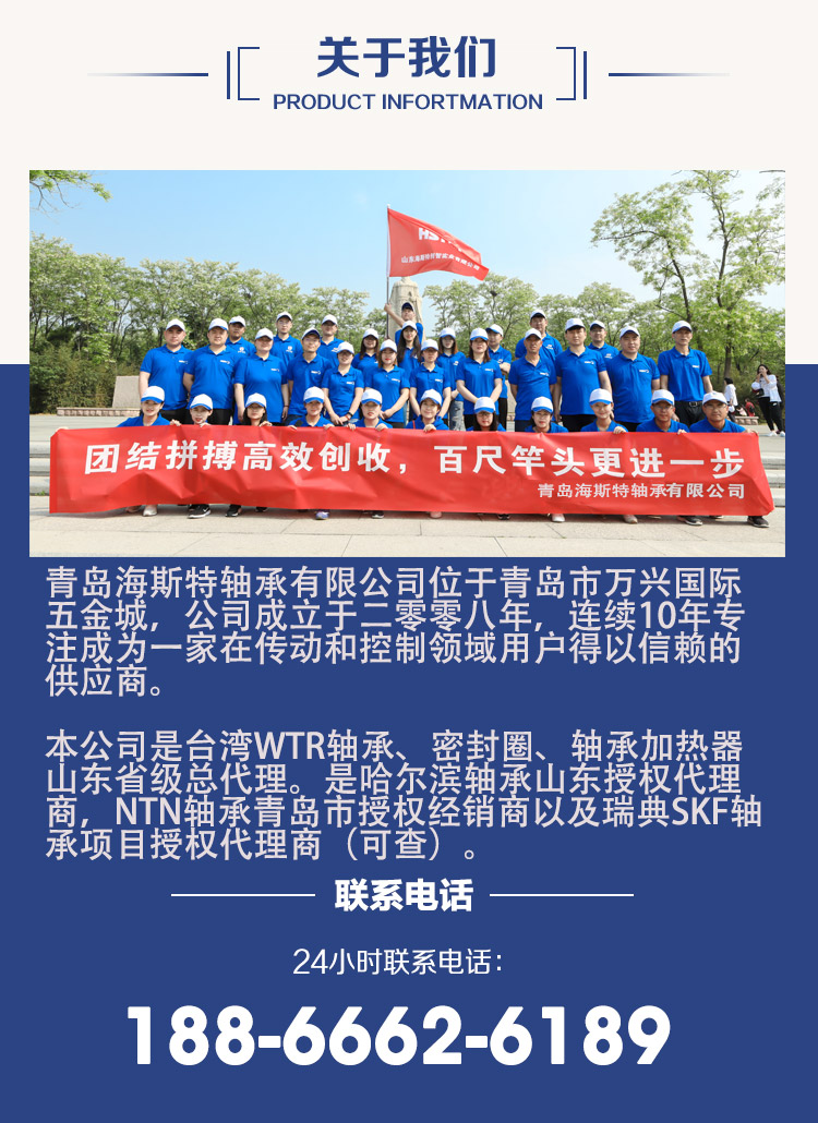 海斯特轴承-新产品页面_02.jpg